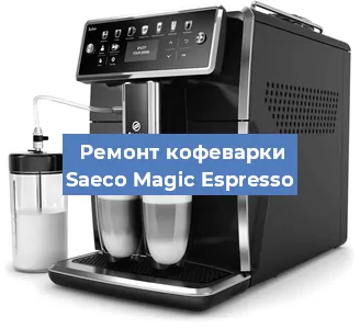 Чистка кофемашины Saeco Magic Espresso от кофейных масел в Воронеже